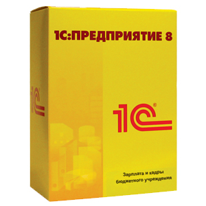1С:Зарплата и кадры государственного учреждения 8